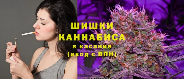 шишки Алексин