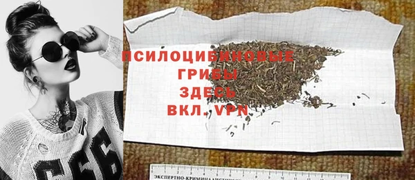 шишки Алексин