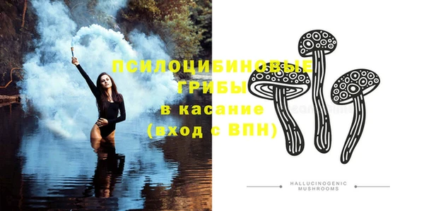шишки Алексин