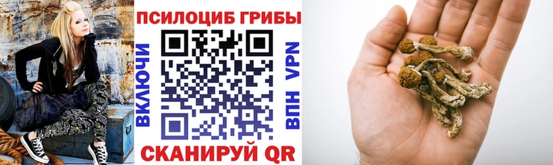 Купить  Бикин  Галлюциногенные грибы GOLDEN TEACHER 