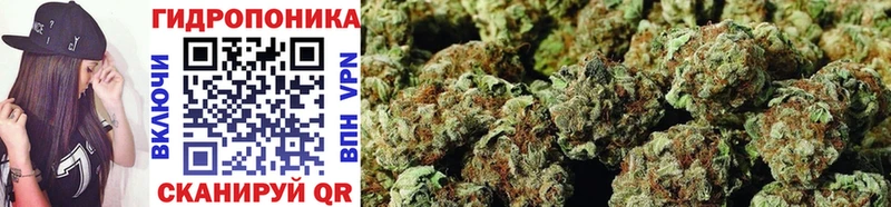 Купить закладки  Бикин  Шишки марихуана OG Kush 